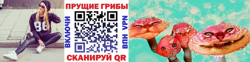 площадка телеграм  Заинск  Псилоцибиновые грибы Psilocybe 